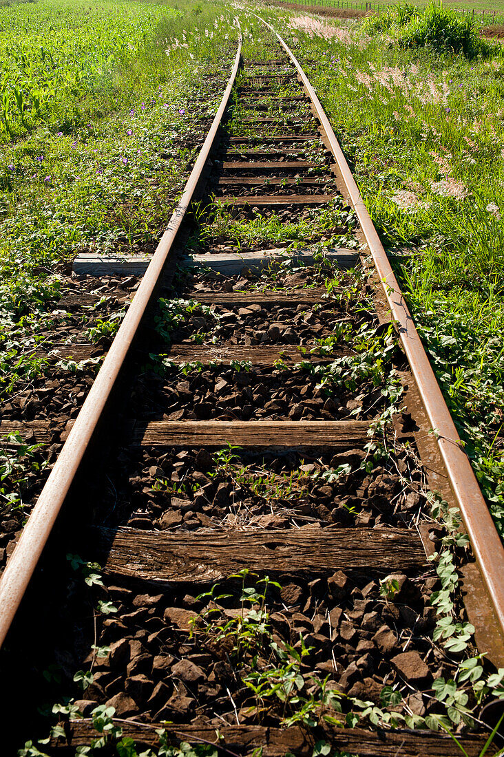 Alte Eisenbahnschienen in Santa Barbara Do Sul, Rio Grande Do Sul, Brasilien