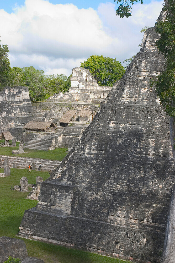 Temple 1 Mayan Ruins Of Tikal Guatemala