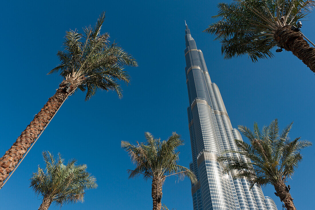 Dubai, Uaedate Palmen und der Burj Khalifa