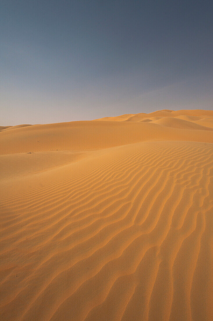 UAE, Abu Dhabi, Sand dunes; Liwa