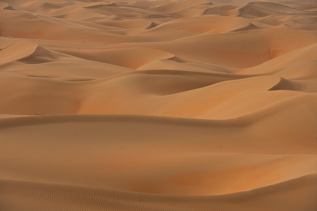 UAE, Abu Dhabi, Sand dunes; Liwa