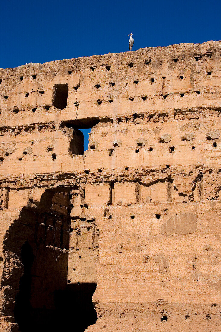 Ein einzelner Storch an den Wänden des zerstörten Badi-Palastes; Marrakesch, Marokko