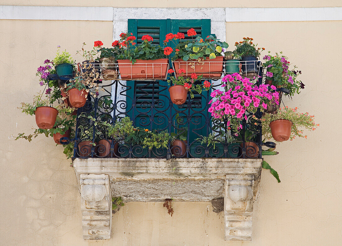 Balcony With Pots Of Flowers,Kotor,Montenegro.Tif