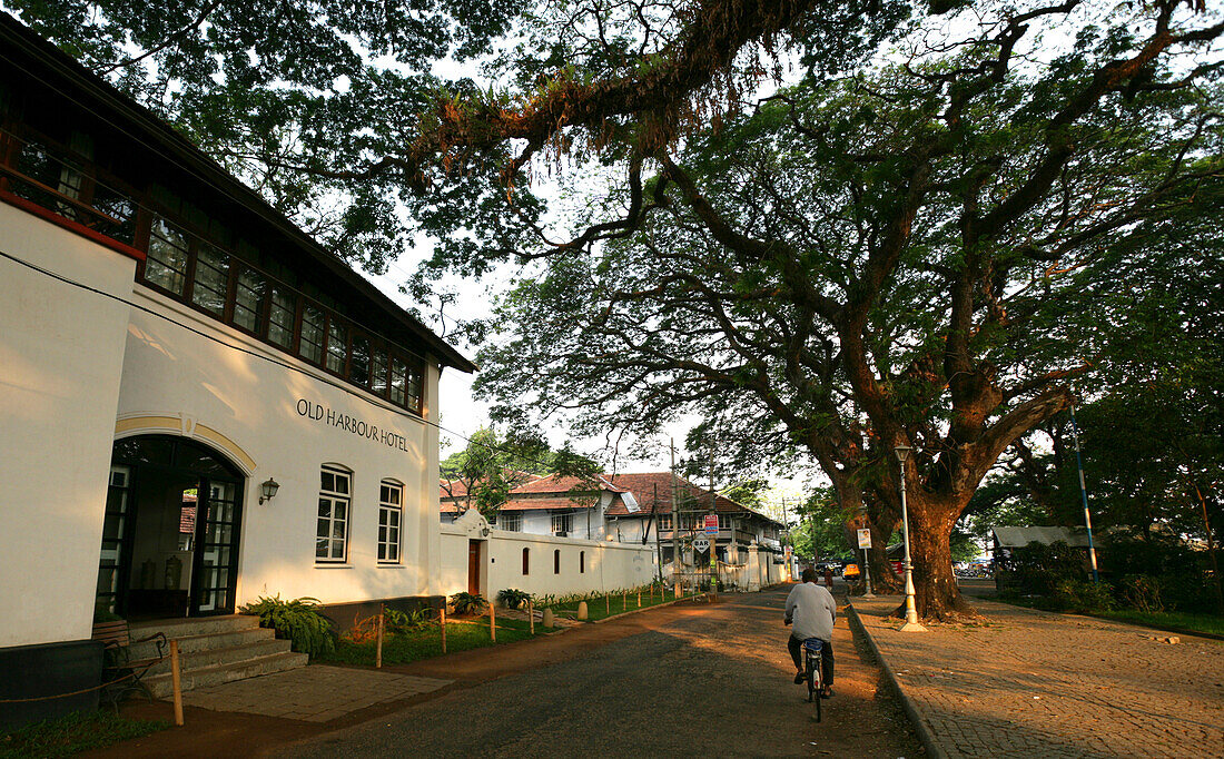 Radfahren auf einer Straße; Fort Kochi, Kerala, Indien