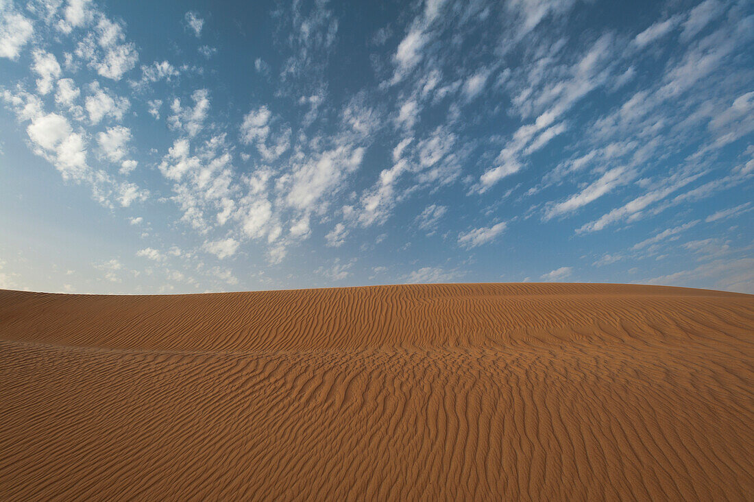 UAE, Sand dune; Dubai