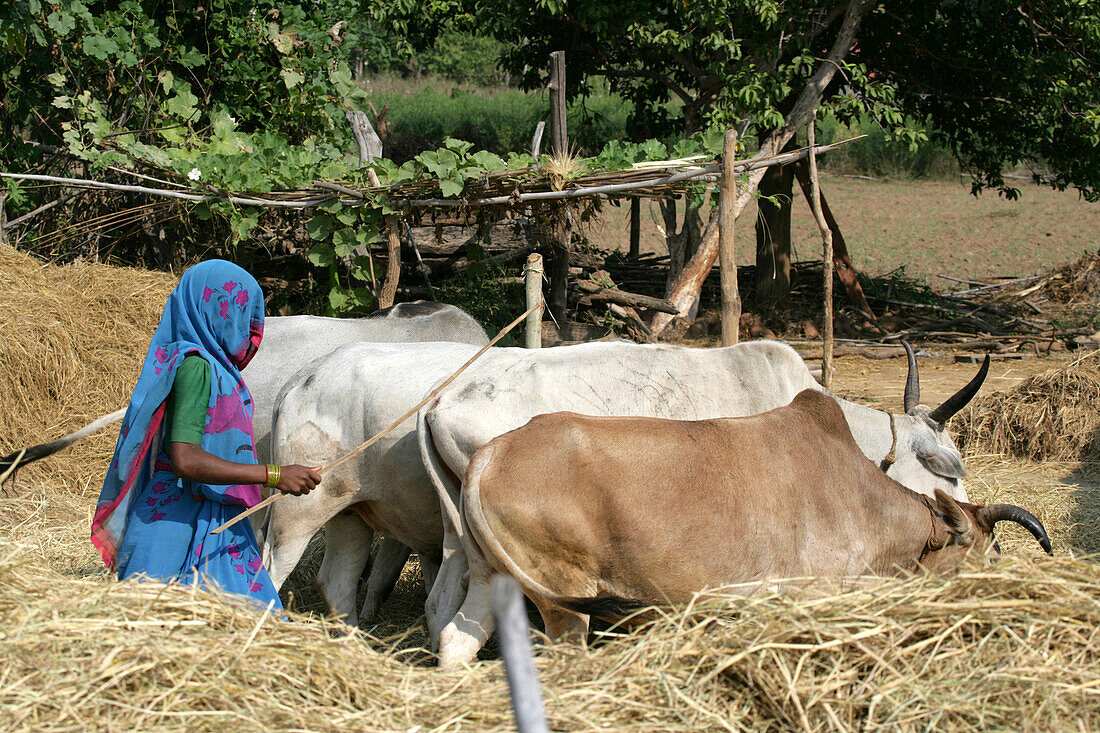 Rural Village Madhya Pradesh India