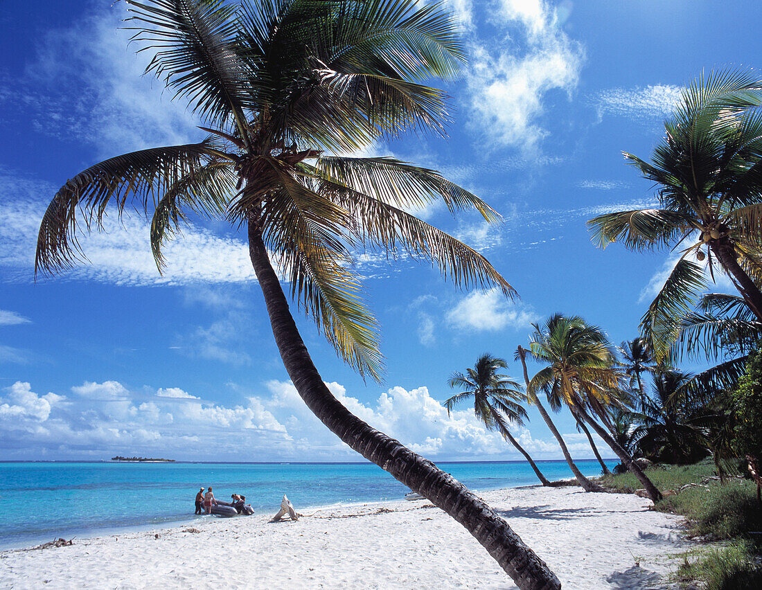 Tabago Cays, Grenadines