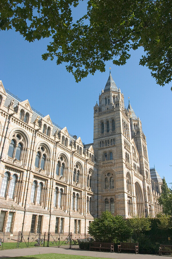 The Natural History Museum, London, England, Uk.