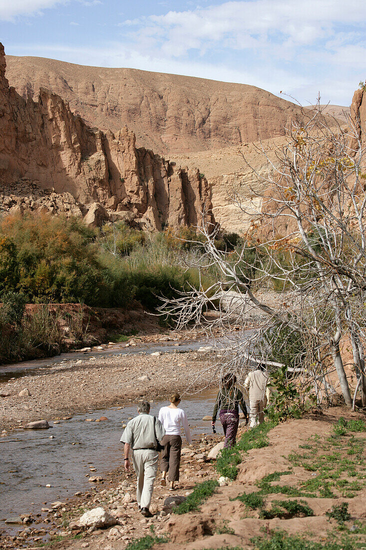 Tal der Rosen bei Skoura Oase Dades Tal Marokko