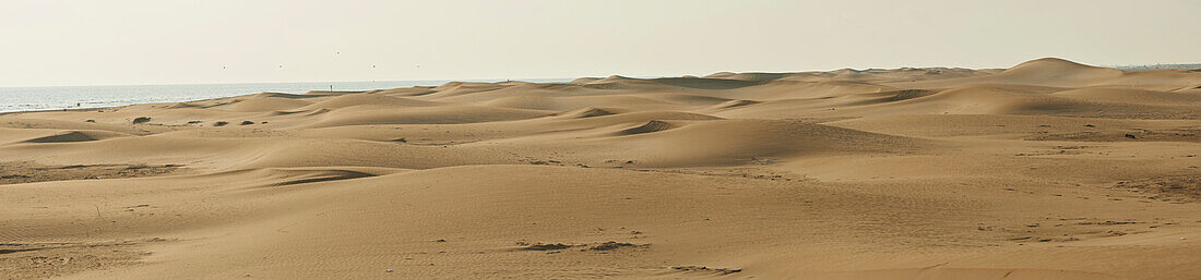 Dunes of sand on the beach at Ebro River Delta; Catalonia, Spain