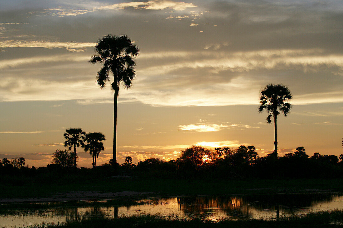 SONNENUNTERGANG IM OKAVANGO-DELTA BOTSWANA