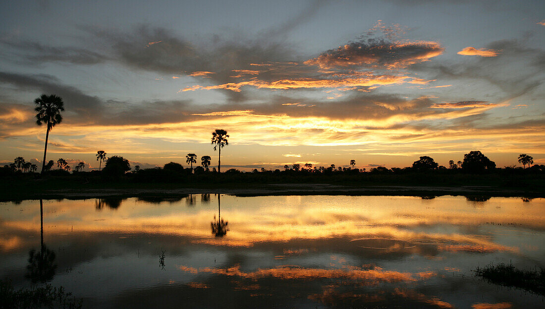 SONNENUNTERGANG IN DER OKAVANGO DELTA BOTSWANA