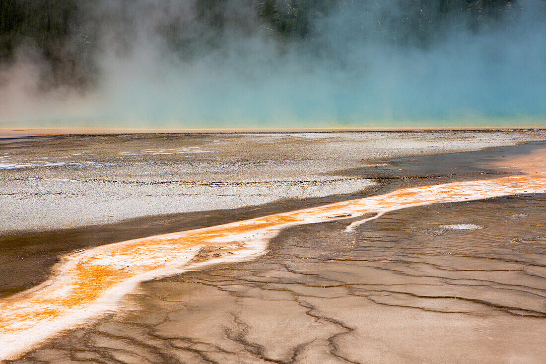Dampf steigt über den lebhaften Farben und Mineralablagerungen der Grand Prismatic Spring auf, einer geothermischen Anlage im Yellowstone National Park; Yellowstone National Park, Wyoming, Vereinigte Staaten von Amerika