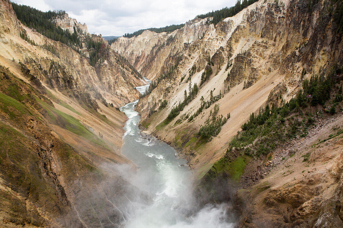 Der Yellowstone River durchschneidet den Grand Canyon of Yellowstone, gesehen vom Artist Point; Yellowstone National Park, Wyoming, Vereinigte Staaten von Amerika