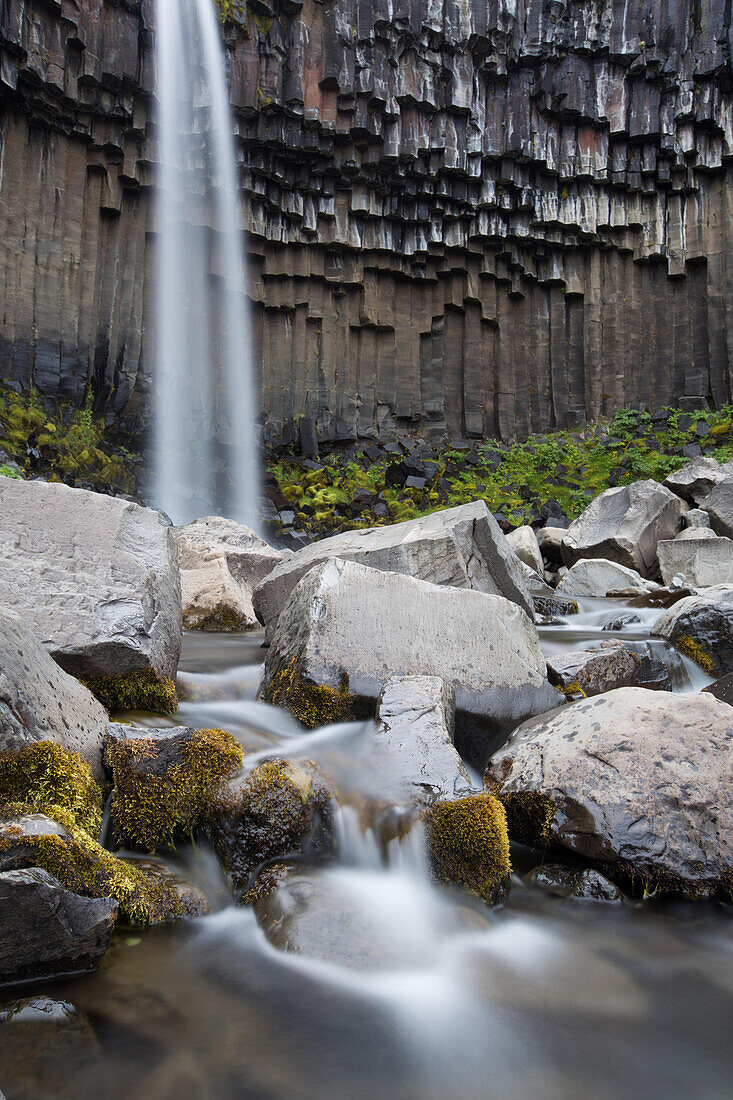 Blick auf den Svartifoss-Wasserfall und die Basaltsäulen; Skaftafell National Park, Island