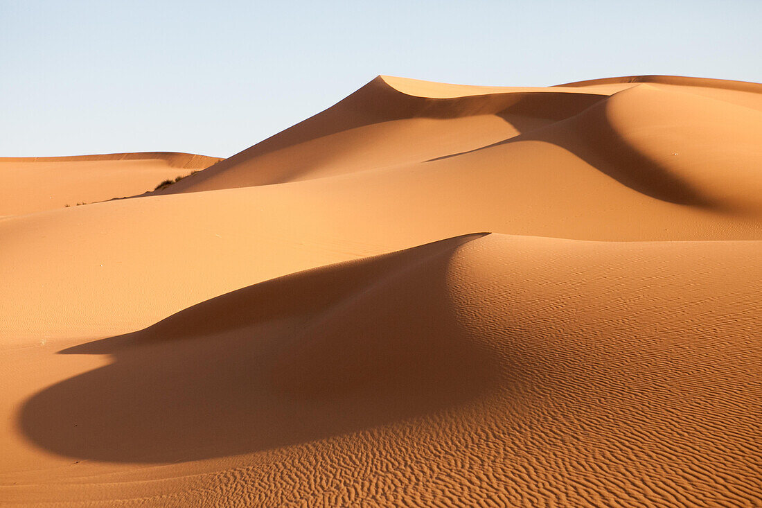 Sand dunes in the Sahara desert are illiminated in soft light.; Erg Chebbi , Sahara Desert , Morocco