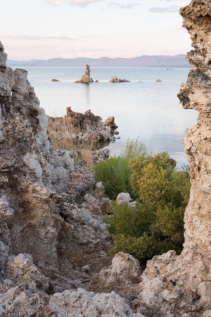 A view of South Tufa Mono Lake at dusk.; Mono Lake, California, United States of America