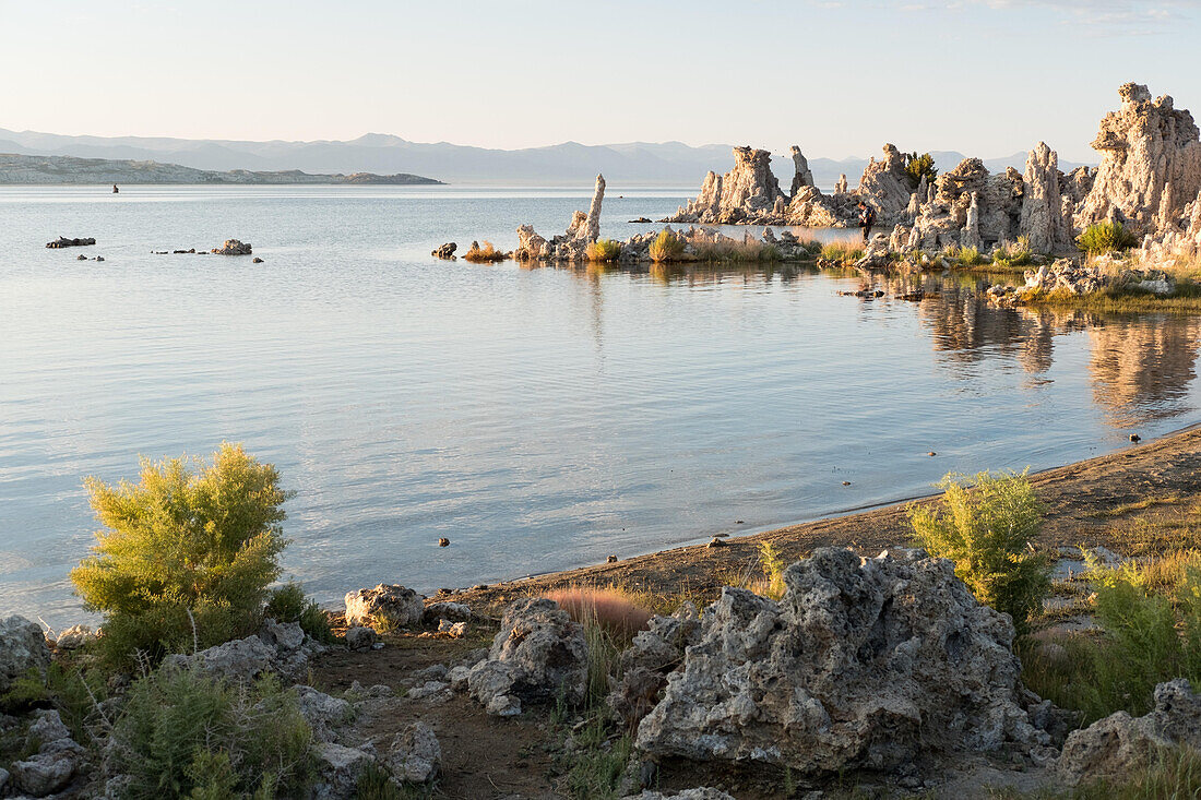 Die untergehende Sonne beleuchtet die South Tufa Mono Lake; Kalifornien, Vereinigte Staaten von Amerika