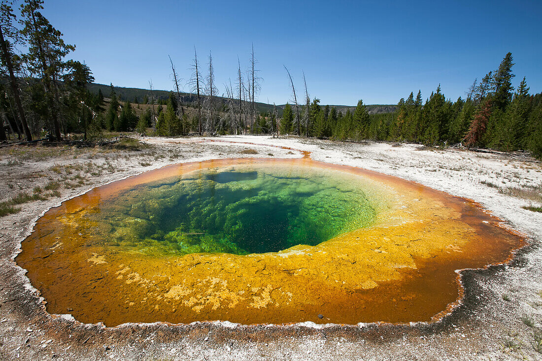 White and colorful mineral deposits from geothermal features in a geyser basin.; Yellowstone National Park, Wyoming