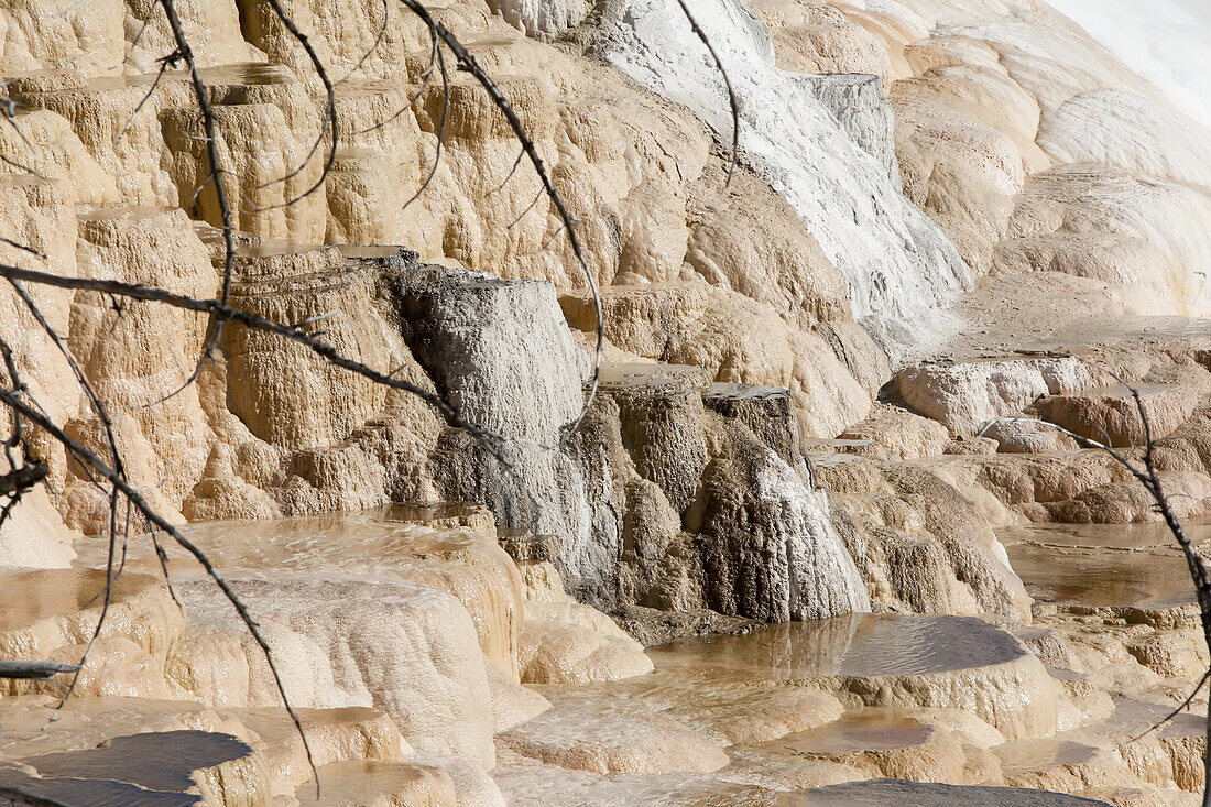 White and beige mineral deposits from geothermal features in Mammoth Hot Springs.; Yellowstone National Park, Wyoming