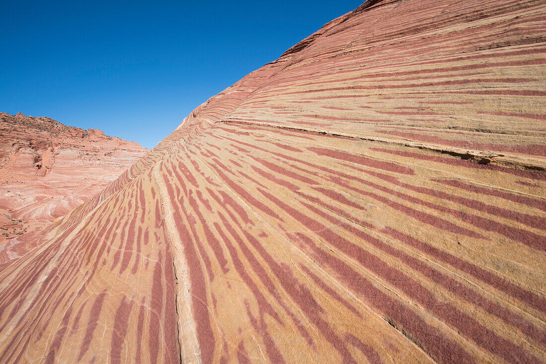 Zebra-ähnliches Streifenmuster auf den Sandsteinfelsen in der Boneyard-Region von North Coyote Buttes.