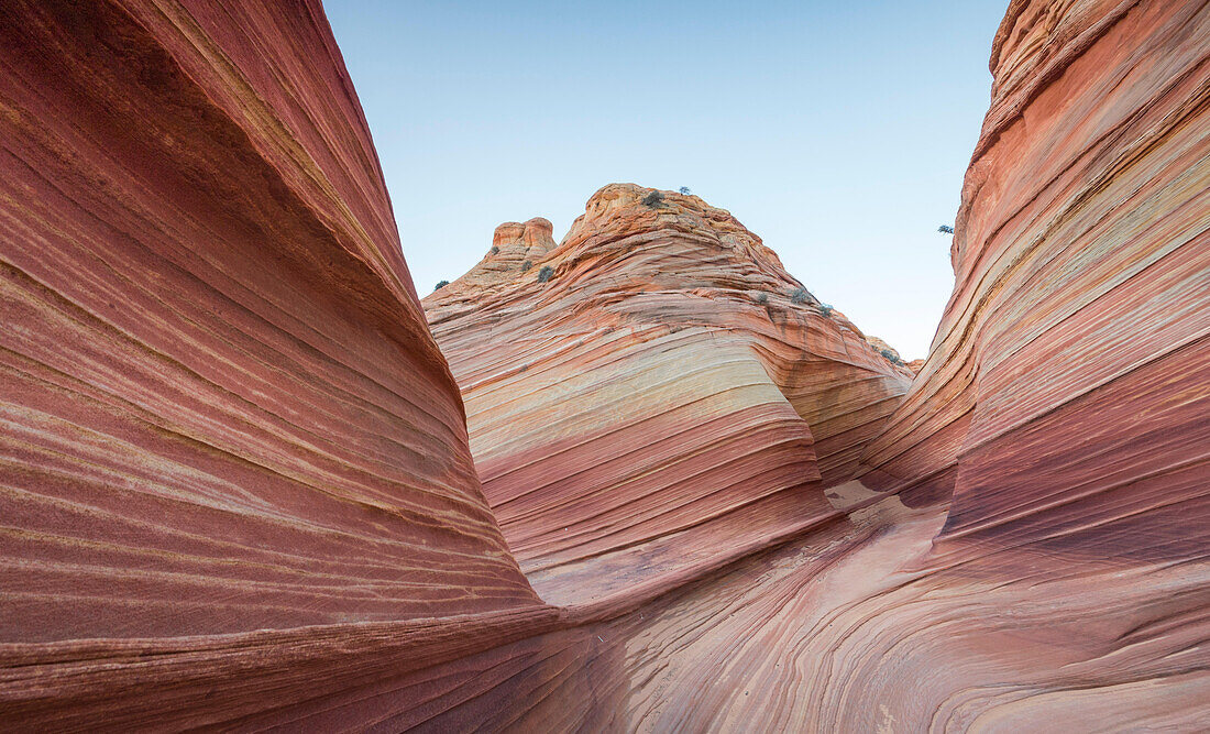 The Wave sandstone rock formation, located in Coyote Buttes North, Paria Canyon, Vermillion Cliffs Wilderness.