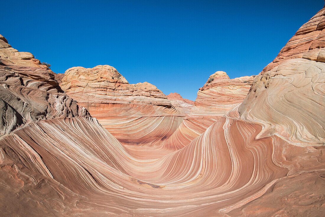 Die Wave Sandstein Felsformation, gelegen in Coyote Buttes North, Paria Canyon, Vermillion Cliffs Wilderness.