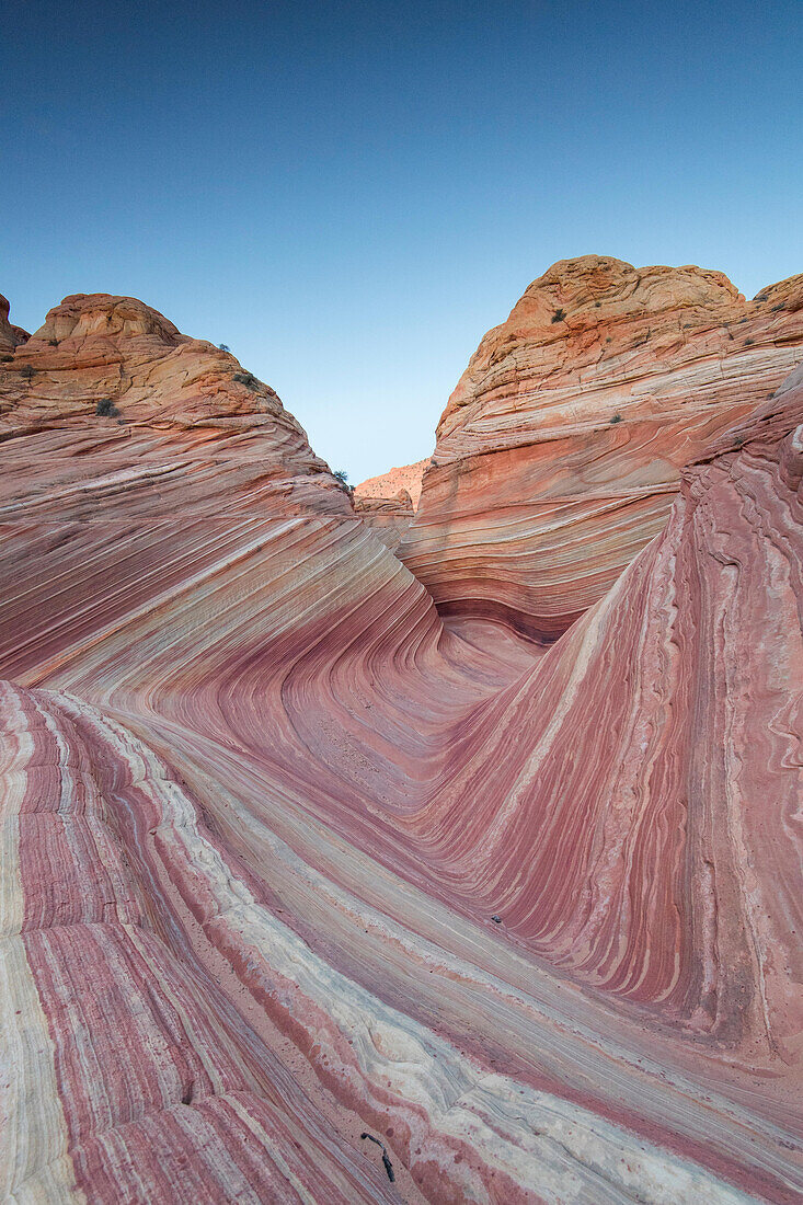 The Wave sandstone rock formation, located in Coyote Buttes North, Paria Canyon, Vermillion Cliffs Wilderness.