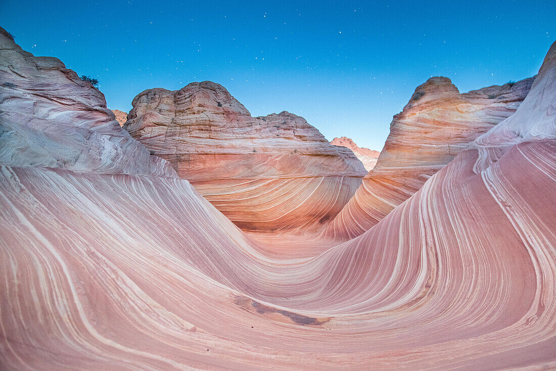 Nächtliche Sterne über der Wave Sandstein Felsformation, gelegen in Coyote Buttes North, Paria Canyon, Vermillion Cliffs Wilderness.
