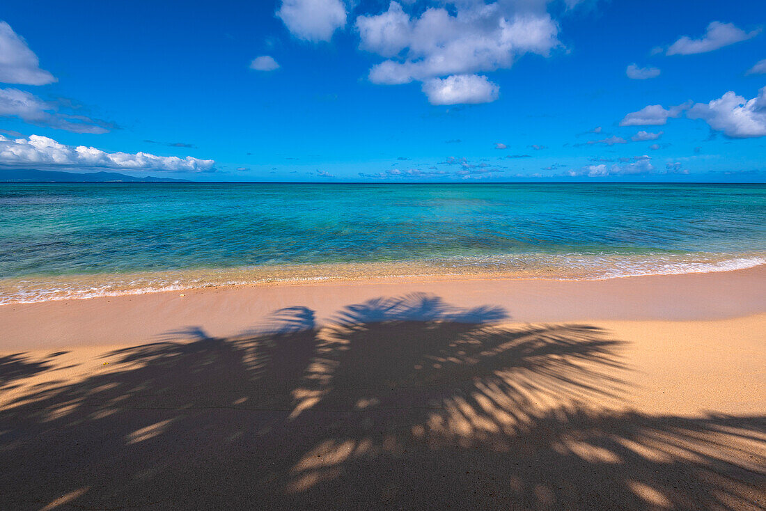 Vibrant turquoise water of the Caribbean Sea and shadows of palm trees on a sandy beach; Guadeloupe, French West Indies