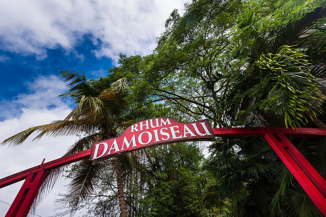 Das Schild für die Damoiseau Distillery mit tropischen Bäumen in Le Moule auf Grande-Terre; Guadeloupe, Französisch-Westindien