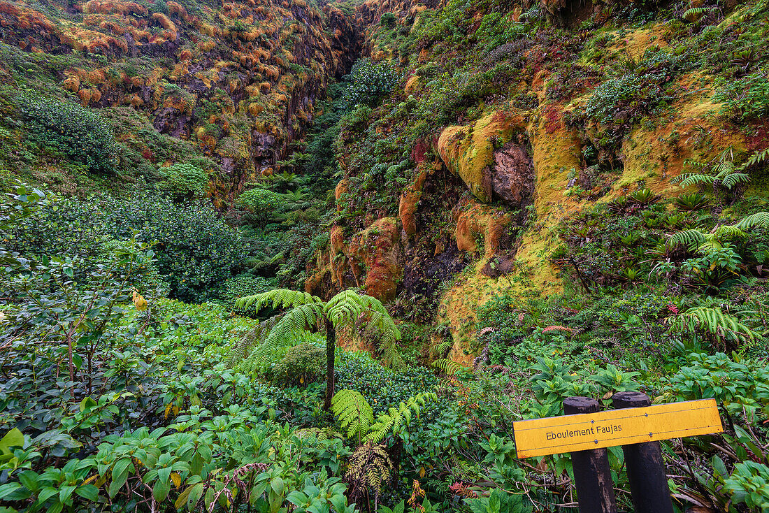 Bunte, tropische Vegetation an den Hängen des La Grande Soufriere, eines aktiven Stratovulkans auf Basse-Terre, mit einem Schild in französischer Sprache, das vor Erdrutschen warnt; Guadeloupe, Französisch-Westindien