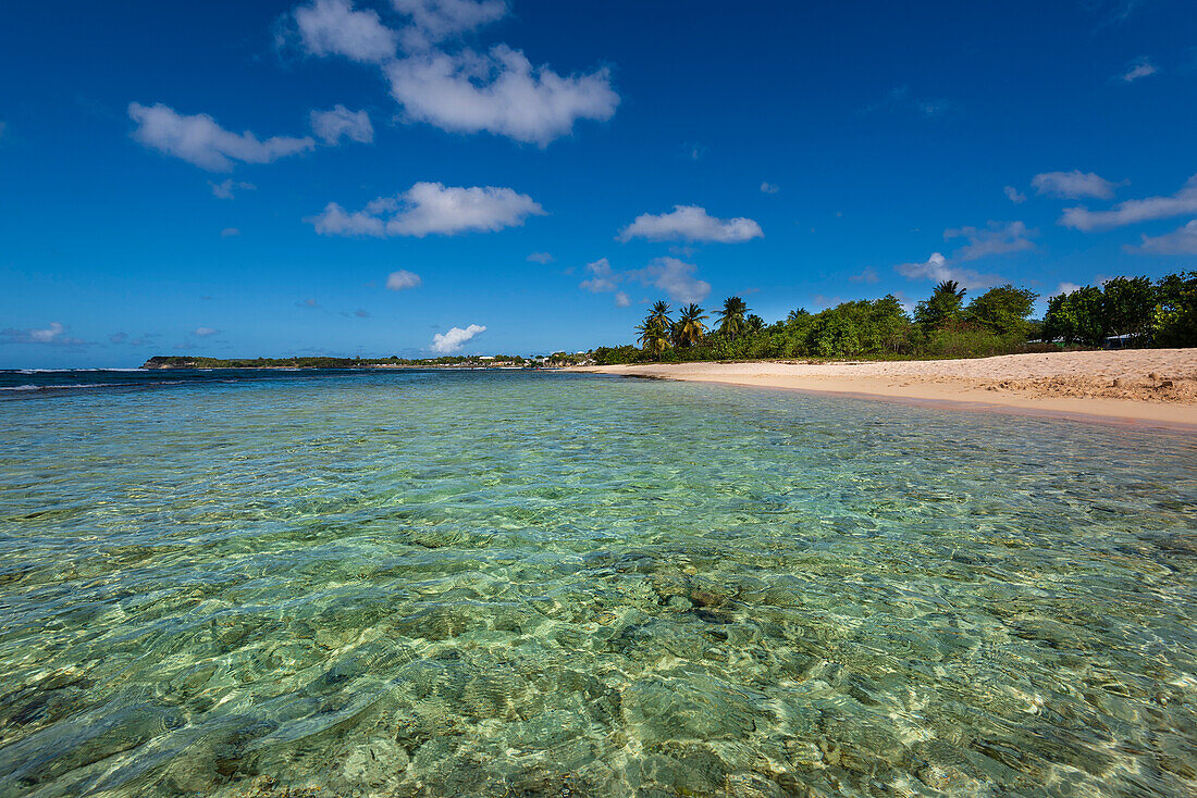 Kristallklares Wasser und Sandstrand entlang der Küstenlinie von Port-Louis, Grande-Terre; Guadeloupe, Französisch-Westindien