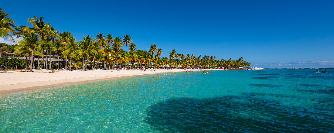Menschen genießen das türkisfarbene Wasser des Karibischen Meeres mit Palmen entlang des Sandstrandes von Caravelle Beach, Sainte-Anne, Grande-Terre; Guadeloupe, Französisch-Westindien