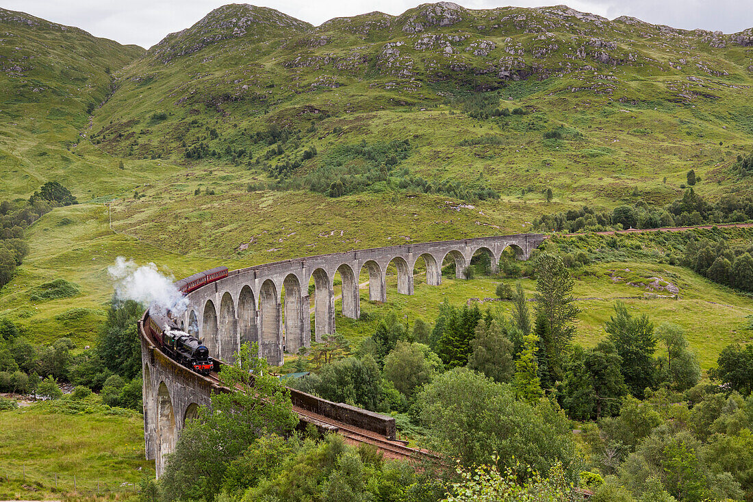 Der durch die Harry-Potter-Filme berühmt gewordene Jacobite Train fährt über das Glenfinnan Viaduct in Glenfinnan, Schottland; Glenfinnan, Inverness-shire, Schottland