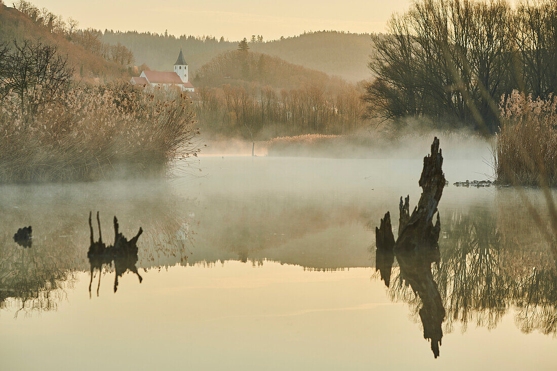 Sunrise and mist above a billabong in the Danube River with old wood; Tegernheim, Bavaria, Germany