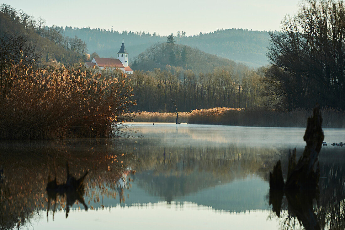 Sunrise and mist above a billabong in the Danube River with old wood and village church; Tegernheim, Bavaria, Germany