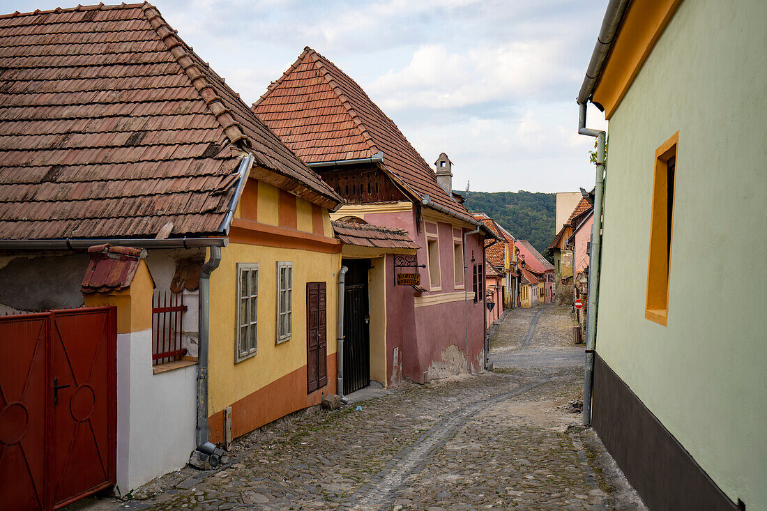Kopfsteinpflaster in den Gassen und farbenfrohe Gebäude in der Altstadt der Zitadelle von Sighisoara, dem Geburtsort von Vlad Tepes (Dracula); Sighisoara, Siebenbürgen, Rumänien