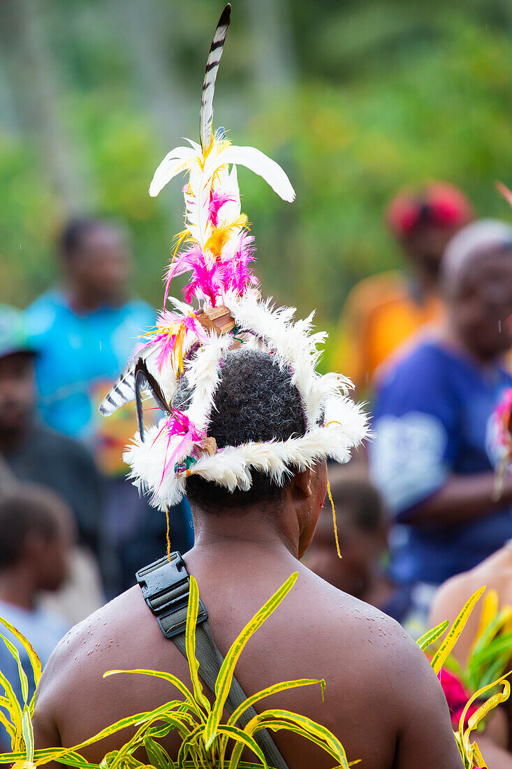 View taken from behind of a traditional dancer wearing a tropical bird feather headdress at a performance on Karkar Island, in the Bismarck Sea off the north coast of Papua New Guinea; Karkar Island, Madang Province, Papua New Guinea
