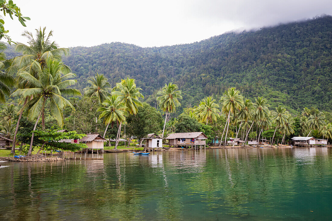 Dschungel und Küstendorf Siboma mit Hütten auf Stelzen, die sich im Wasser spiegeln, Lababia Island, Huon Gulf; Siboma, Provinz Morobe, Papua-Neuguinea