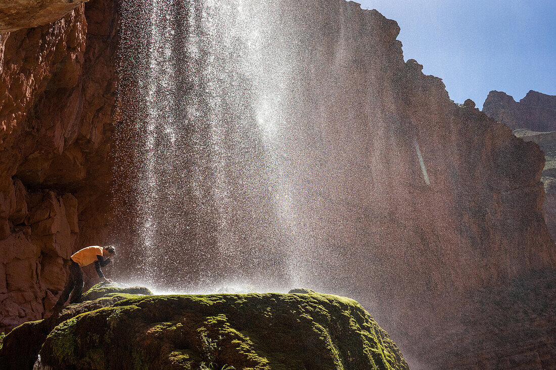 A hiker wets his hair under Ribbon Falls off North Kaibab Trail.; Grand Canyon National Park, Arizona