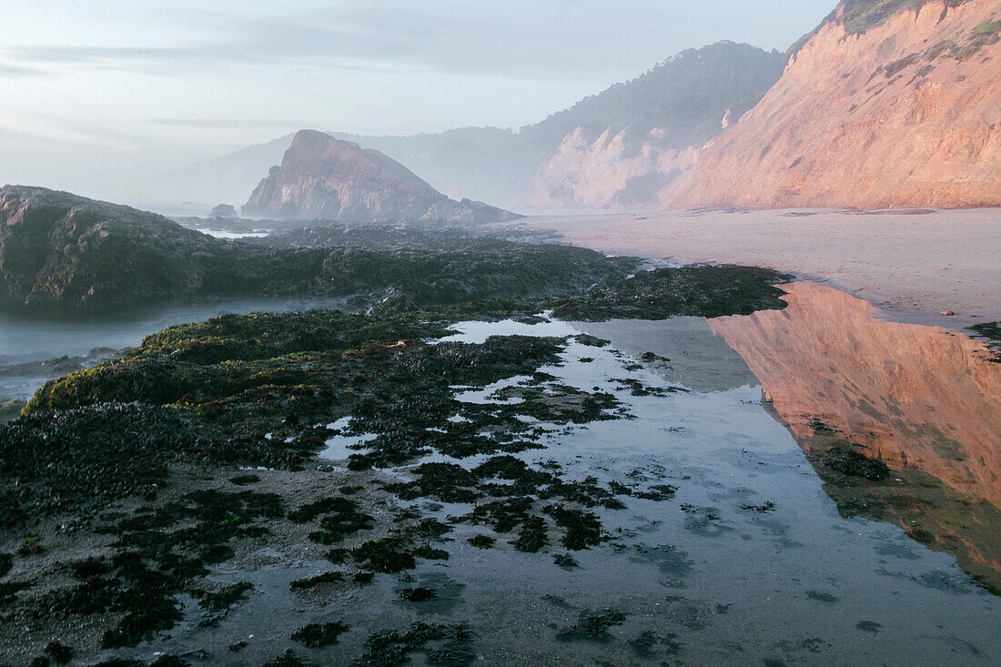 Gezeitentümpel und Felsformationen entlang der nebligen Central Coast; Santa Cruz, Kalifornien, Vereinigte Staaten von Amerika