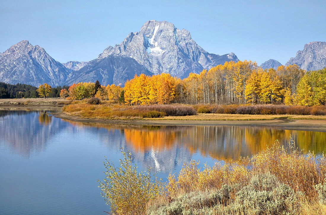 The Grand Tetons in Grand Teton National Park reflecting fall colors in the Snake River; Wyoming, United States of America