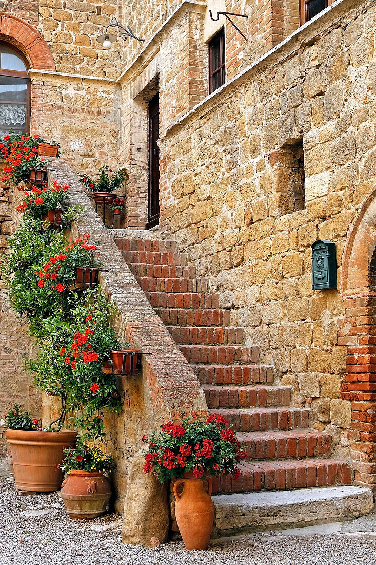Old stone building with brick steps and potted geraniums (Pelargonium); Tuscany, Italy