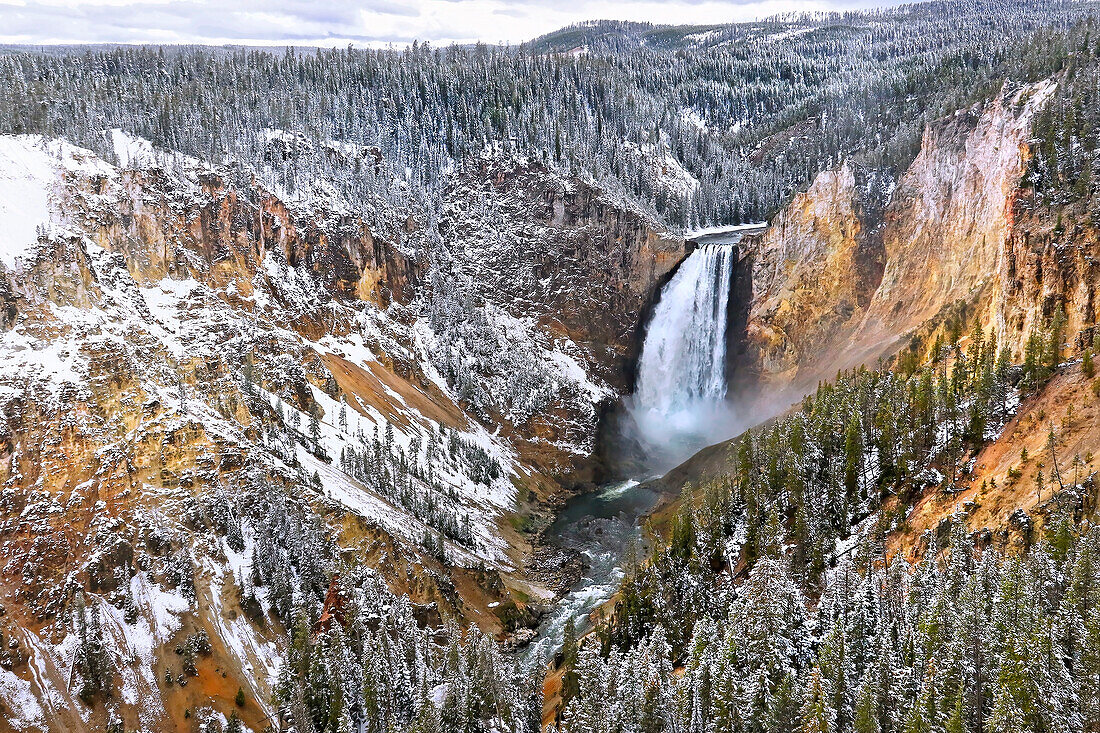 Lower Yellowstone Falls mit schneebedeckten umliegenden Bergen und Wäldern und dem Yellowstone River; Yellowstone National Park, Wyoming, Vereinigte Staaten von Amerika