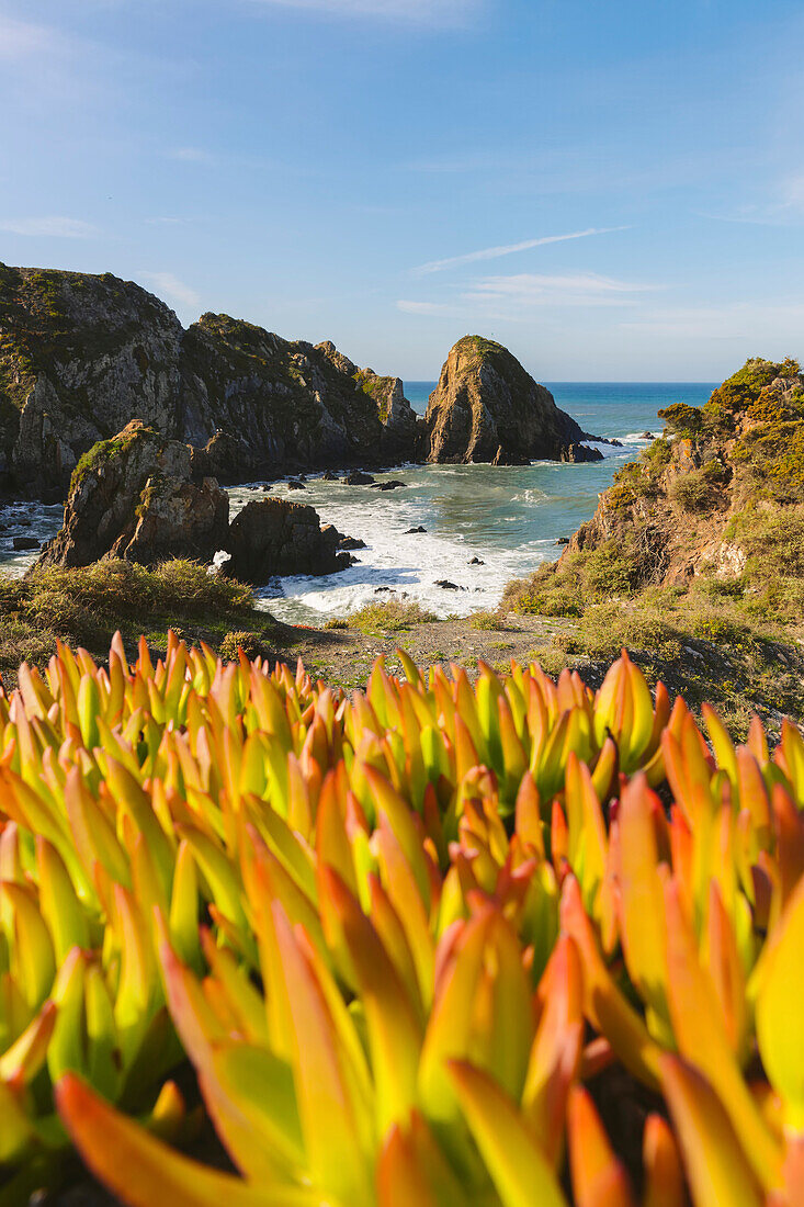 Vegetation und schroffe Felsen entlang der Küstenlinie am Praia da Azenha do Mar in Porugal; Alentejo, Portugal