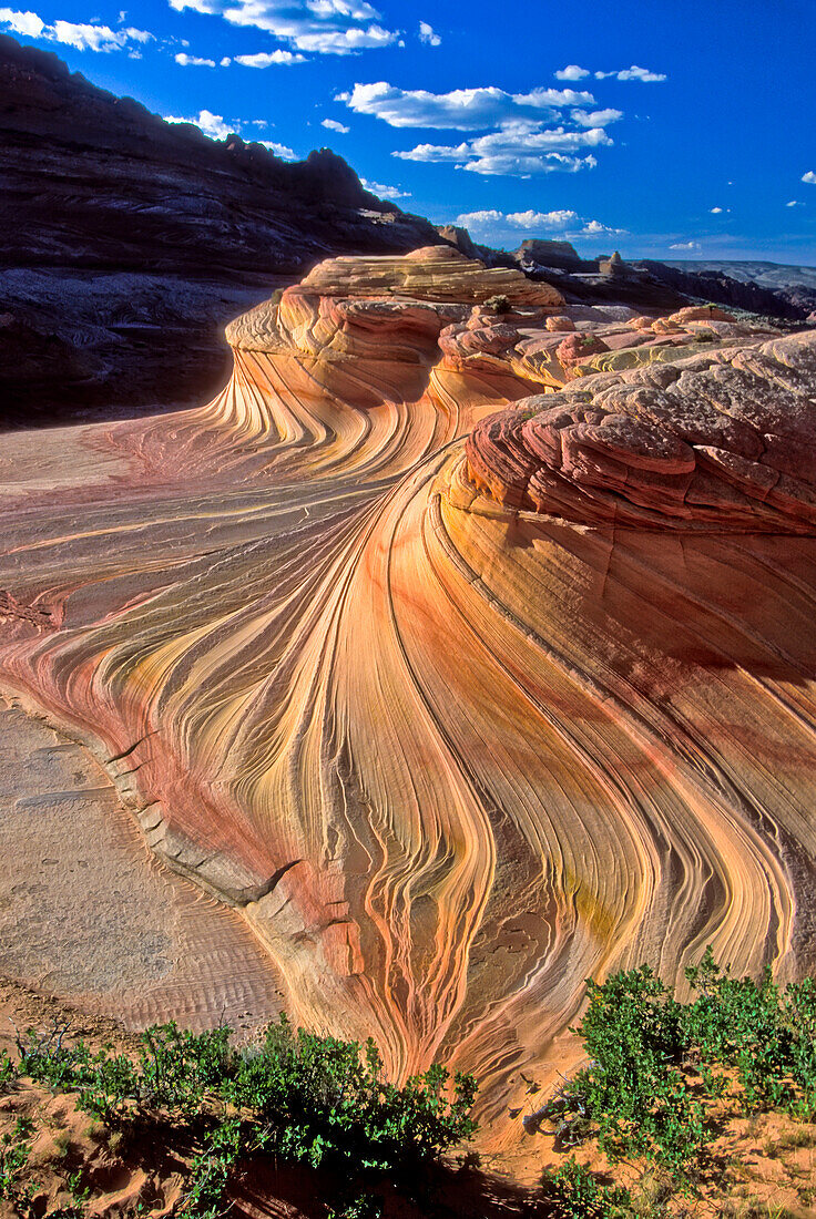 Colorful sandstone rock formations of the Coyote Buttes in the Paria Canyon-Vermilion Cliffs Wilderness; Arizona, United States of America