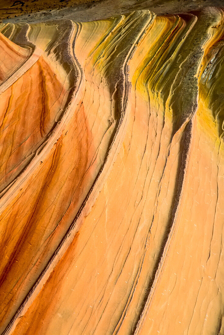 Abstrakte Schönheit der terrassenförmigen Muster der Sandsteinfelsformationen bei Coyote Buttes in der Paria Canyon-Vermilion Cliffs Wilderness; Arizona, Vereinigte Staaten von Amerika
