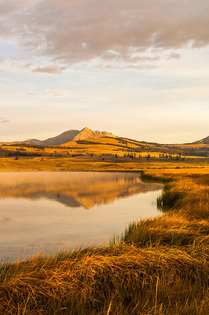 Golden sunlight over Electric Peak and the Gallatin Range reflected in Swan Lake of the Swan Lake Flats in autumn, Yellowstone National Park; Wyoming, United States of America
