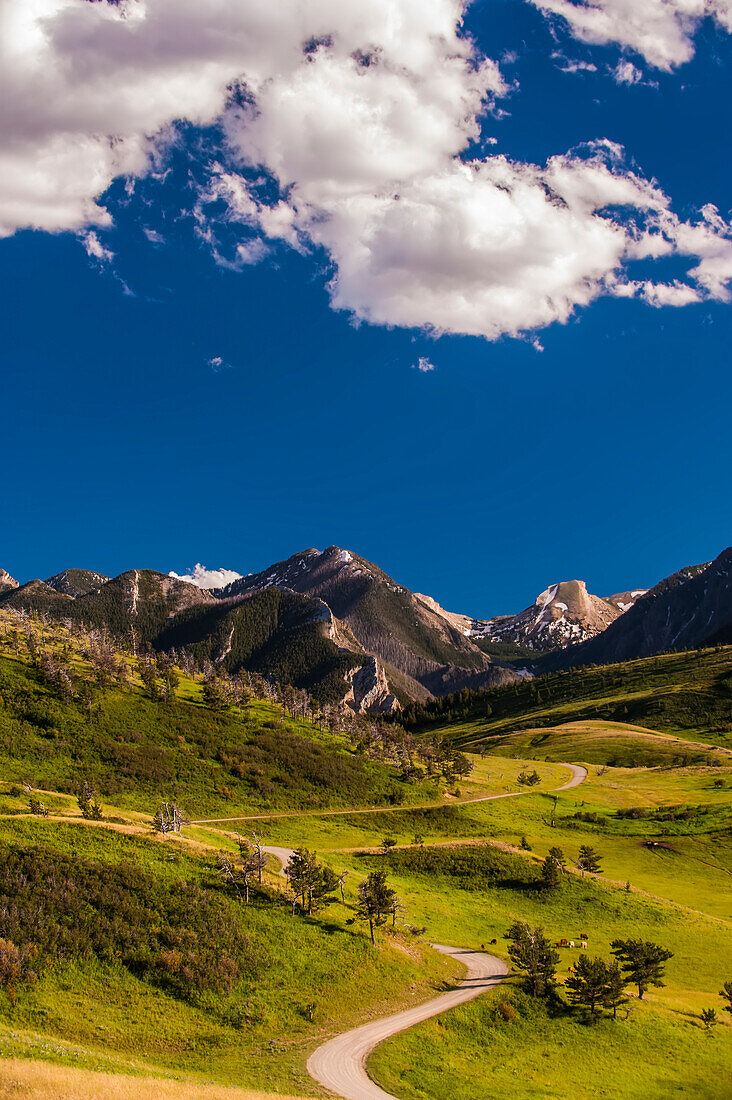 Scenic landscape of a road through the Absaroka Mountain Range.